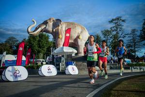 BIB: 
                            <button type="button" onclick="openModal(26541581)" class="btn btn-primary btn-sm float-right btn-popup" data-toggle="modal" data-target=".modal-high-quality">
                        <i class="fas fa-shopping-cart"></i> Add to Cart
                    </button>
                                            <button type="button" onclick="isThisMe(26541581, true)" class="btn btn-success btn-sm float-right btn-popup btn-isme hidden" data-toggle="tooltip" data-placement="bottom" title="นี่คือรูปของคุณใช่ไหม คลิกที่นี่เพื่อเอาเข้าอัลบั้ม">
                        <i class="fas fa-plus"></i> Add to album
                    </button>
                    <button type="button" onclick="isThisMe(26541581, false)" class="btn btn-warning btn-sm float-right btn-popup btn-isnotme hidden">
                        <i class="fas fa-ban"></i> Remove from album
                    </button>